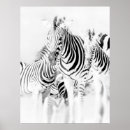 Suche nach südafrikanisch poster Wild lebende tiere