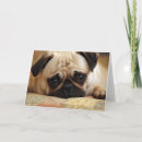 Suche nach niedlicher mops karten Haustier