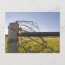 Suche nach stacheldraht postkarten Ranch