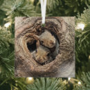 Recherche de jeune animal ornements Animaux dans la nature