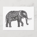 Recherche de carte zen cartes postales Éléphant