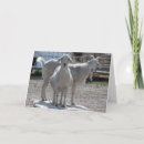 Recherche de funny goat Drôle