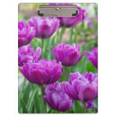 Suche nach clip die poster Natur