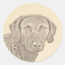 Recherche de chien brun autocollants Dog