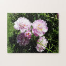Recherche de pivoine rose puzzles Floral