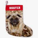 Recherche de chien carlin chaussette de noël Nom