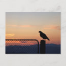 Suche nach hawk poster Silhouette