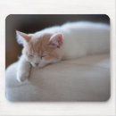 Suche nach müde mousepads Haustier