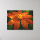 Suche nach mexikanische leinwandbilder Blume