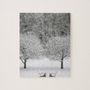 Recherche de meubles puzzles Chaise