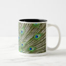 Recherche de plume paon tasses Nature