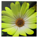 Recherche de fluorescent carreaux Jaune