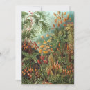 Recherche de illustration botanique invitations Pour tous