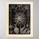 Suche nach hexagonal poster Meer