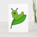 Suche nach raupe karten Insekten
