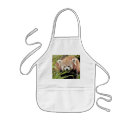 Recherche de panda rouge tabliers Nature