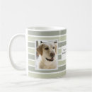 Recherche de compagnie tasses Deux photos