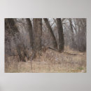 Recherche de velours photographie Cerf
