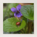Recherche de ladybug puzzles Coléoptère