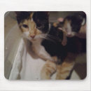 Recherche de animal domestique tapis souris Pour animaux