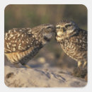 Suche nach esel aufkleber Fauna