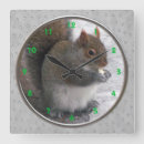 Recherche de écureuil gris horloges Mignon