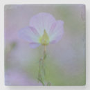 Suche nach primate untersetzer Blume