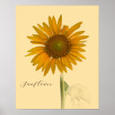 Recherche de tournesols posters Fleurs