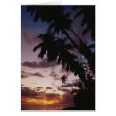 Suche nach medium format postkarten Adnt