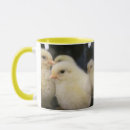Recherche de peep tasses Mignon