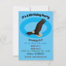 Recherche de aigle chauve invitations Rapace