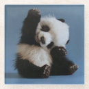 Suche nach panda baby untersetzer Babypanda