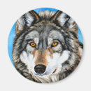 Recherche de bois gris magnets Sauvage