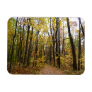 Recherche de cheminée magnets Nature