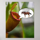 Recherche de carnivore posters Nature