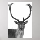 Suche nach hirsche poster Modern