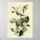 Suche nach dekorativer vogel poster Vögel