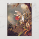 Recherche de améthyste cartes postales Oiseau