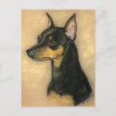 Recherche de pinscher miniature cartes postales Animal