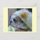Recherche de puppy posters English