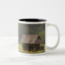 Recherche de cabanes tasses Asia