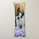 Recherche de de bull terrier décoration coussins Mignon