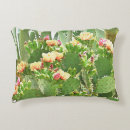 Suche nach stachelig kissen Kaktus