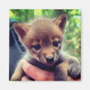 Suche nach kneipen magnete Hunde