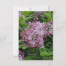 Suche nach lovely postkarten Botanisch