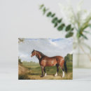 Recherche de étalon cartes postales Animal