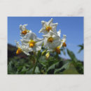 Recherche de agriculteurs cartes postales Paysage
