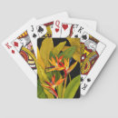 Recherche de oiseaux jeux de cartes Tropical