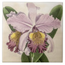 Suche nach biologie untersetzer Vintag