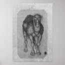 Recherche de dromadaire posters Croquis